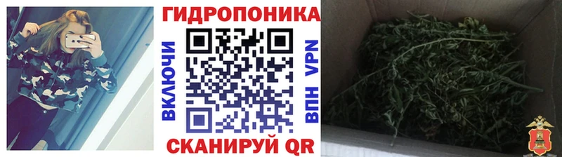 блэк спрут сайт  Кукмор  Марихуана индика 